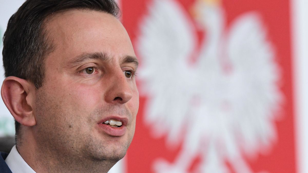 PSL otwiera worek przedwyborczych obietnic. Zapowiedź m.in. rozszerzenia programu 500+