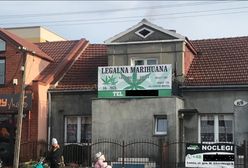 "Legalna marihuana" za 20 zł. "Kopa nie daje, ale mam coś ekstra, prosto z Holandii. Dowozimy!"