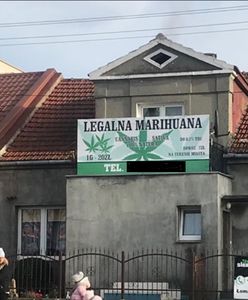 "Legalna marihuana" za 20 zł. "Kopa nie daje, ale mam coś ekstra, prosto z Holandii. Dowozimy!"