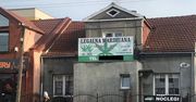 "Legalna marihuana" za 20 zł. "Kopa nie daje, ale mam coś ekstra, prosto z Holandii. Dowozimy!"