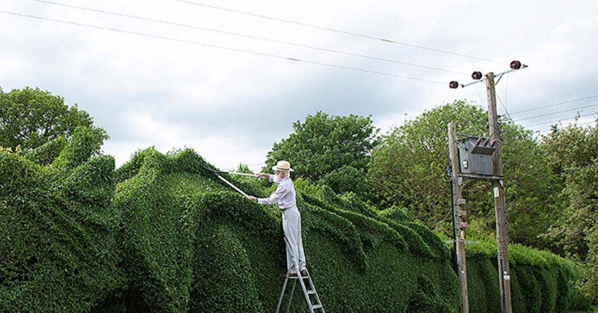 Old Man Spent 13 Years Turning His 150-Foot-Long Hedge Into A Dragon