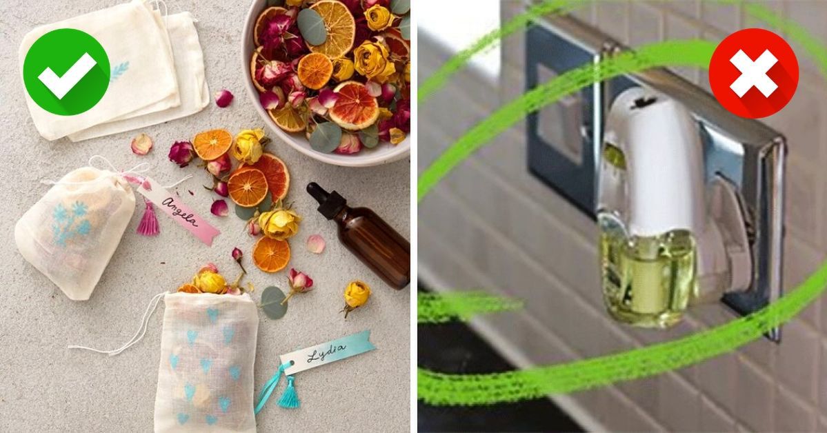 8 Natural Air Fresheners. Your Home Will Smell Gorgeous with No Hazardous Chemicals