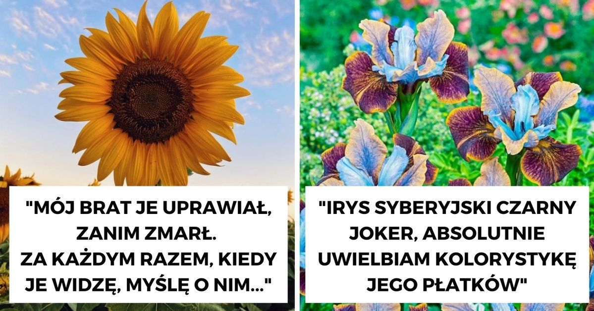 21 mężczyzn wyznaje, jakie kwiaty lubi najbardziej. Rośliny to domena nie tylko kobiet