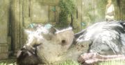 Chyba sam nie wierzyłem, że kiedyś przyjdzie mi to napisać - The Last Guardian ukończone