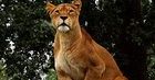 Ogród Zoologiczny w Warszawie