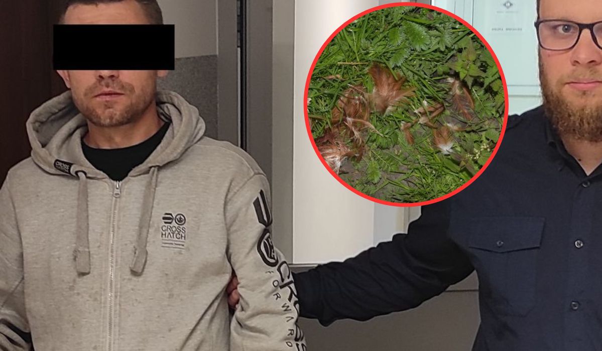 Tak się kończy zbyt duża ochota na rosół - Pyszności; foto: zamosc.policja.gov.pl