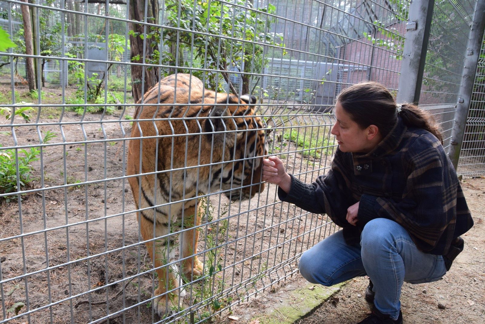 Zarzuty dla dyrektor poznańskiego ZOO. Nielegalnie kastrowała zwierzęta?