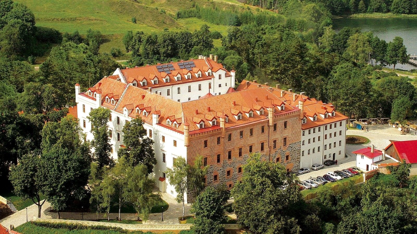 Obraz