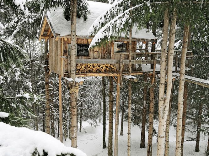 Treehouse To Live In