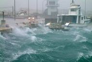 Trzęsienia ziemi i tajfun w Japonii