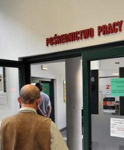 369 zawodów regulowanych wspiera bezrobocie młodych