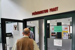 369 zawodów regulowanych wspiera bezrobocie młodych