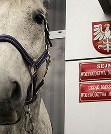 Radny Jacek Soska przyjechał na obrady na koniu