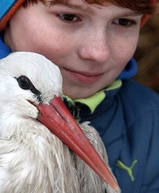 13-letni Kamil uratował życie bocianowi Stefanowi