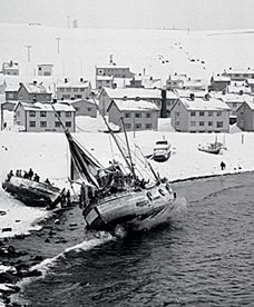 Lodowate morze i wicher. Garstka ludzi i tysiące reniferów