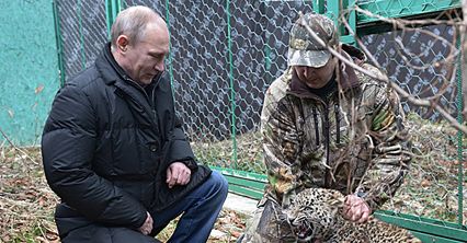 Putin z lampartem na kolanach