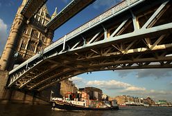 Brytyjczycy najbardziej niechętni emigrantom