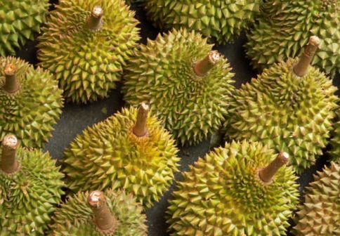 Durian - najbardziej śmierdzący owoc świata
