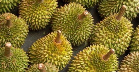 Durian - najbardziej śmierdzący owoc świata