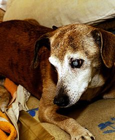 Jak minął tydzień w Polsce