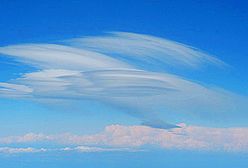 Delfiny nad Korsyką, serce nad Śniardwami - zdjęcia Internautów