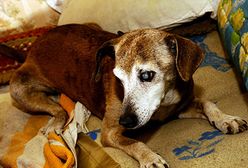 Jak minął tydzień w Polsce