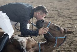 To zdarzyło się w Polsce!