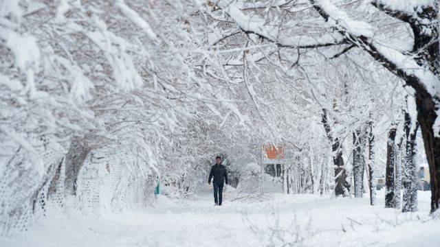 Mężczyzna spacerujący w Kabulu 5 lutego 2017 r.
