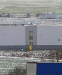 Pracownicy Amazon jak roboty