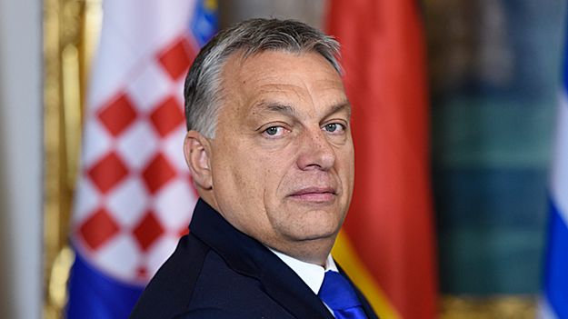 "Zasługi Węgier w tej sprawie będą zapisane w podręcznikach historii"