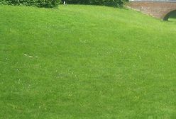 Duchy - zdjęcia Internautów