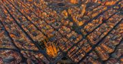 Barcelona - dolecisz za grosze, ale co dalej?