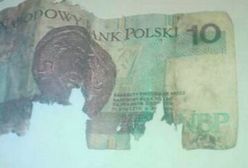 "Banknot 10 zł. Pamiątka ze Smoleńska". Bulwersująca aukcja w sieci