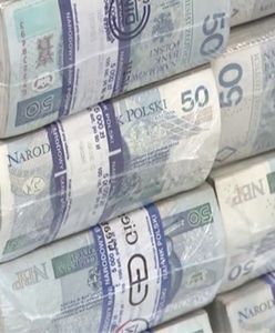 Ile pieniędzy jest w Polsce. NBP podaje dane