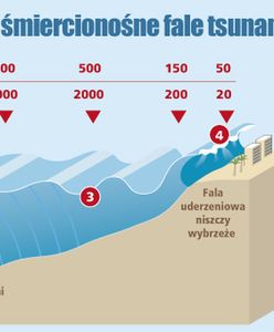 Potężne trzęsienie ziemi w Indonezji. "Ludzie w panice uciekali"