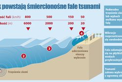 Potężne trzęsienie ziemi w Indonezji. "Ludzie w panice uciekali"