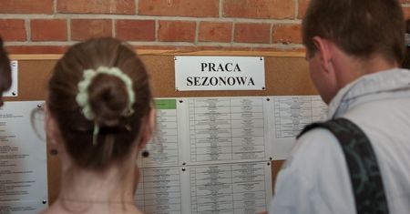 Praca sezonowa w Polsce. Można dostać nawet 20 zł za godzinę