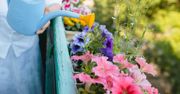 Balkon na szóstkę. Narzędzia, które pomogą ci zadbać o jego wygląd