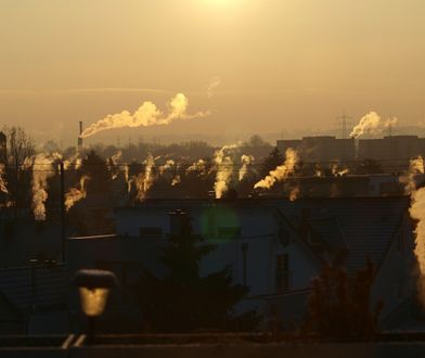 Termomodernizacja domów jednorodzinnych a jakość powietrza w Polsce