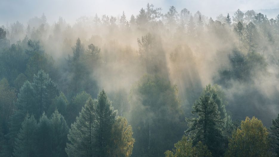 Prognoza pogody na na dziś i jutro (3.09 – 4.09) – góry (Zakopane, Karpacz, Krynica-Zdrój, Ustroń, Solina, Żywiec)