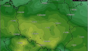 Pogoda na dziś - 4 marca. Jednodniowa eksplozja ciepła