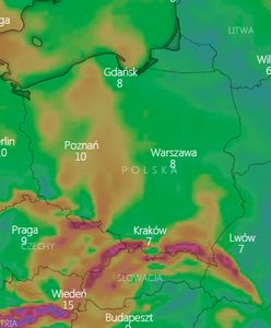 IMGW ostrzega przed gołoledzią i silnym wiatrem. W górach powieje halny