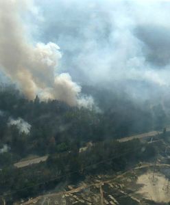 Pożar w Czarnobylu. W zamkniętej strefie płonie 10 hektarów lasu, władze Ukrainy alarmują