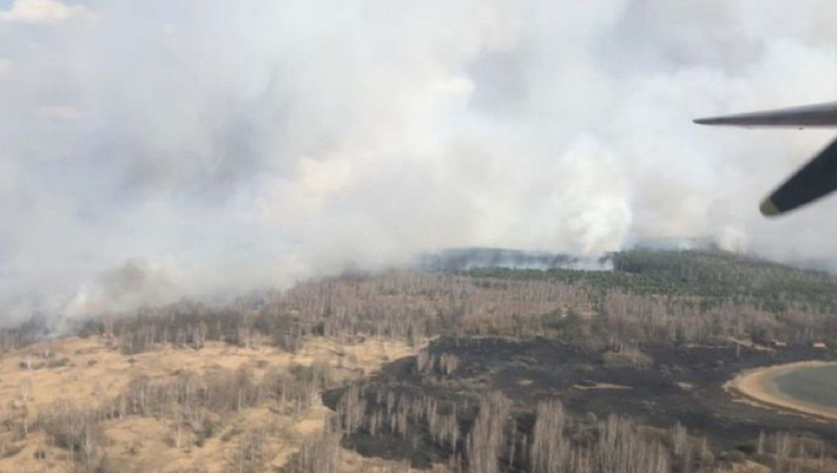 Pożar lasu w Czarnobylu. Ogień zajął 20 hektarów zieleni w zamkniętej strefie