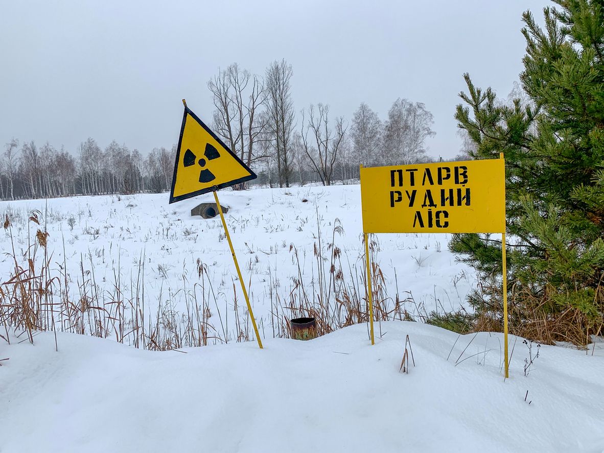 Czarnobyl. Dzieci z zakażonej strefy przyjechały do Szkocji