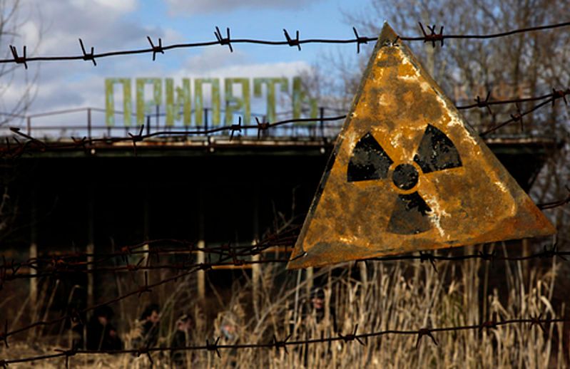 Czarnobyl: dziwne grzyby pochłaniają promieniowanie z reaktora. Naukowcy chcą to wykorzystać
