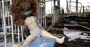 Czarnobyl. Witajcie w ukraińskim Disneylandzie