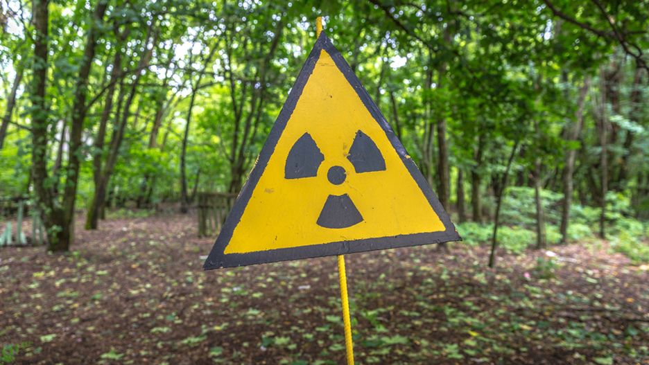 Katastrofą czarnobylską została dotknięta niemal 1/4 część Białorusi