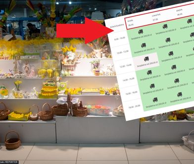 Koronawirus przytkał sklepy internetowe. Na zakupy spożywcze trzeba czekać nawet... 44 dni