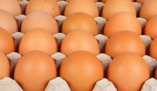 Firmy rezygnują z jaj trójek. Ekologicznych może jednak nie wystarczyć